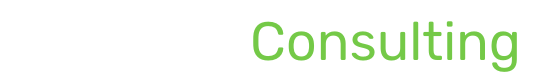 VAV SYNERGY CONSULTING