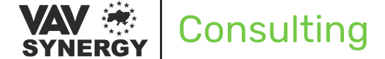 VAV SYNERGY CONSULTING